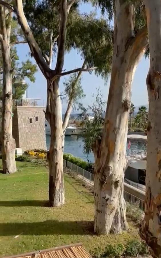 Anthaven Aspat Ozel Plajli 2+1 Daire Apartment *
